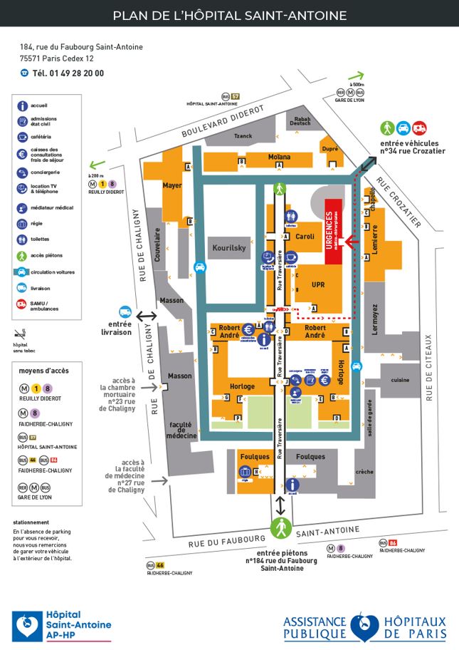 Service D Endocrinologie Diab tologie Et Endocrinologie De La Service D Endocrinologie Diab tologie Et Endocrinologie De La